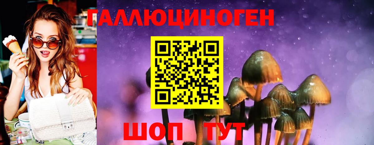 магазин продажи наркотиков  Вход с VPN  Псилоцибиновые грибы ЛСД  Ейск  Псилоцибиновые грибы Magic Shrooms 